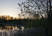 dusk-pond