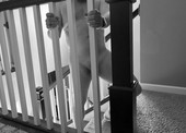IMG_4673_bw