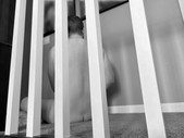 IMG_4770_bw