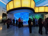 shedd-aquarium