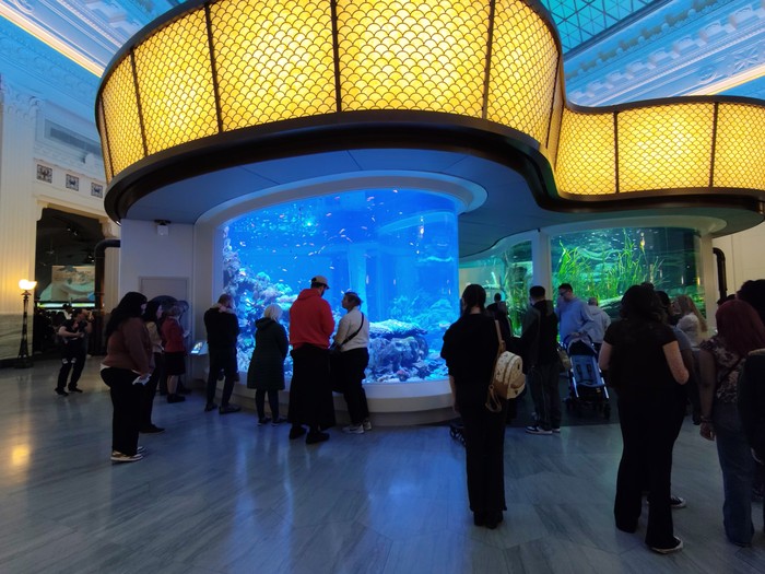 shedd-aquarium