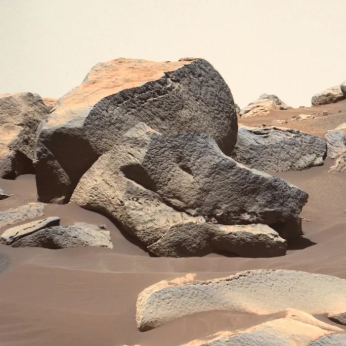 mars-sol-261